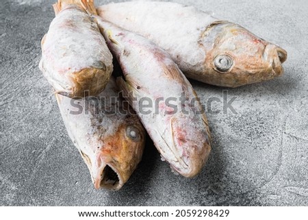 Frozen Goatfish raw fish set, on gray stone table background