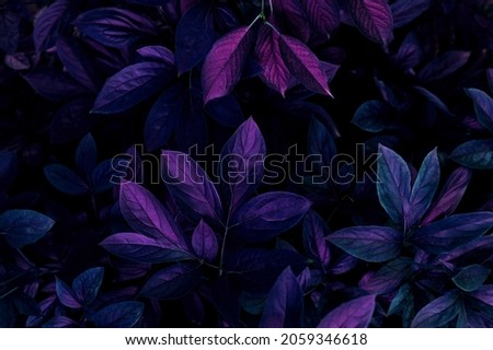 natural abstraction background banner leaves neon colors Royalty-Free Stock Photo #2059346618