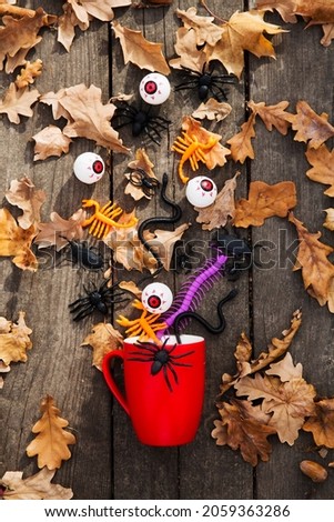 Happy halloweent. Halloween decorations, spider, scorpion, snake on on a wooden background. Flat lay.