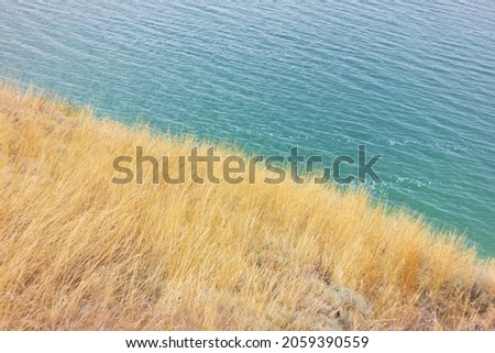 beautiful autumn landscape of coastline with blue surface of estuary water and yellow dry grass, top view