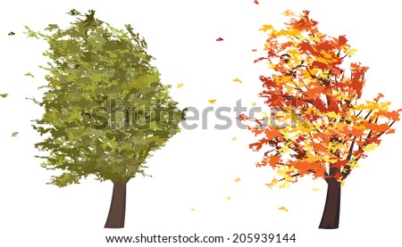 Autumn and summer grunge tree in the wind. Vector illustration