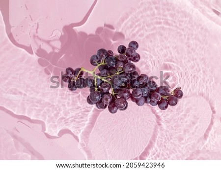 Black muscat grapes in water on pastel pink background. Natural beauty of agriculture. Creative concept of healthy food or fruit juice rich in vitamins and antioxidant resveratrol. Minimal flat lay. Royalty-Free Stock Photo #2059423946