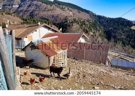 village in the mountains, photo as a background, digital image