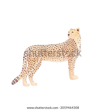 Hand drawn digital watercolor cheetah illustration
