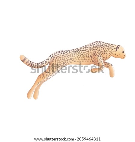Hand drawn digital watercolor cheetah illustration