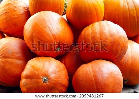 pumpkin pictures interesting pumpkin pictures