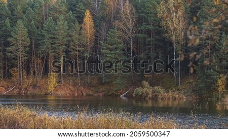 Autumn forest, river bank or lake.