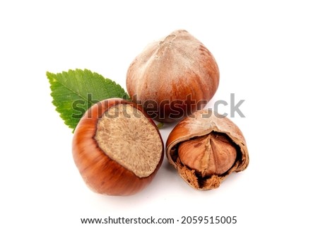 Hazelnuts (Corylus avellana, cobnut, filbert) with hazel leaves on white background. Royalty-Free Stock Photo #2059515005
