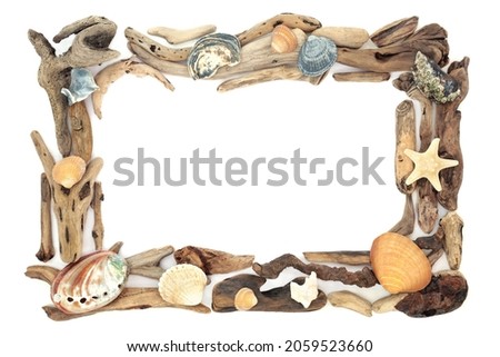 Natural driftwood and sea shell background border on white with a variety of shells. Abstract creative design element. Copy space, top view, flat lay.
