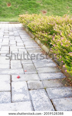 Paving paths. Paving blocks are a composition of building materials made from a mixture of portland cement or similar hydraulic adhesives, water and aggregate.
