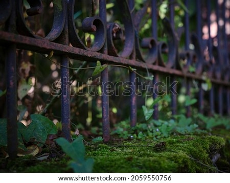 Rusted fence with musk and plants