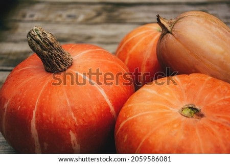 Autumn orange pumpkins on wooden planks at farm. Thanksgiving and halloween season. Harvesting, colors of autumn