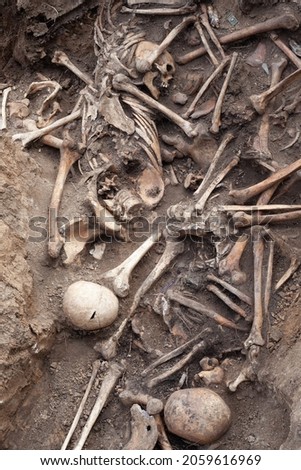 Old mass burial of human remains on the battlefield. war crime. echo of war. mass grave. Royalty-Free Stock Photo #2059616969