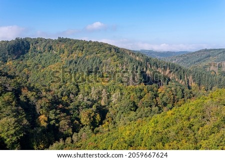 Dense forest in West Germany on the hills in the autumn season.