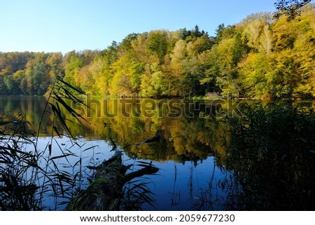 Golden Polish autumn - colorful trees by the lake on a sunny autumn day. Lake Pierzchalskie, near Braniewo, Poland