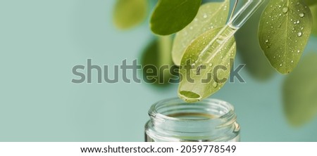 Macro shot of beautiful leaf and pipette, medicine drop falling into jar. Natural, organic, bio cosmetics from herbs and plants for skin and health Royalty-Free Stock Photo #2059778549