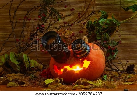 Halloween Jack lantern with two lenses. Branches of trees, berries, leaves and cones. Autumn still life.