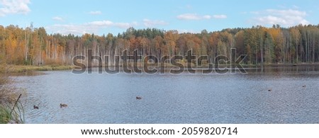 Beautiful lake in a forest in autumn. Trees that change color in autumn.