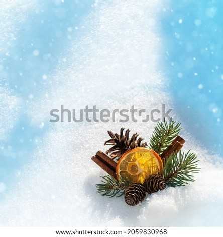 Pine cone in a snowdrift. Christmas holidays concept. Natural decor. Coniferous branch in winter. The concept of winter holidays, new year, christmas, the beauty of the winter forest. Copyspace.