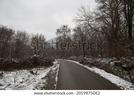 Winter trees in mountains covered with fresh snow. Beautiful landscape with branches of trees covered in snow. Mountain road in Caucasus. Azerbaijan
