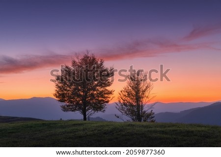Beautiful alone trees on the hill in mountains at sunset in autumn in Ukraine. Colorful landscape with trees, colorful purple sky with pink clouds and orange sunlight at dusk in fall. Nature at night	 Royalty-Free Stock Photo #2059877360