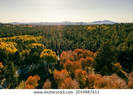 Autumn colored trees in Arizona with mountains in background. 