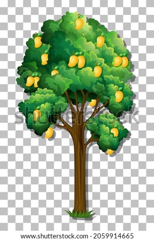 Mango tree on transparent background illustration