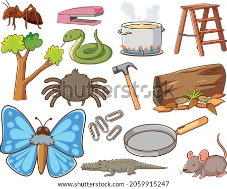 Set of various animals and objects illustration