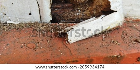 picture of wood chips as a result of termites nesting in it