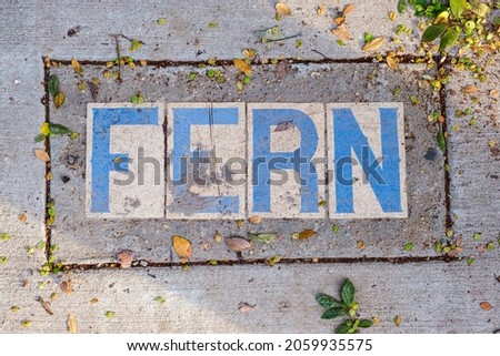 Fern Street Tile Inlay on Sidewalk in Uptown Neighborhood in New Orleans, Louisiana, USA