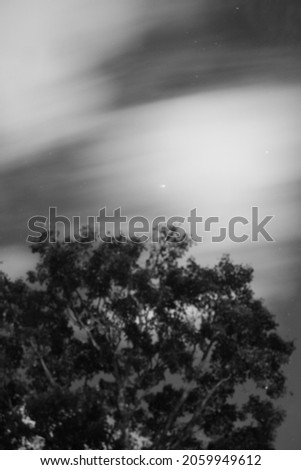 beutiful blurred tree, monocrome night sky, cloud motion effect