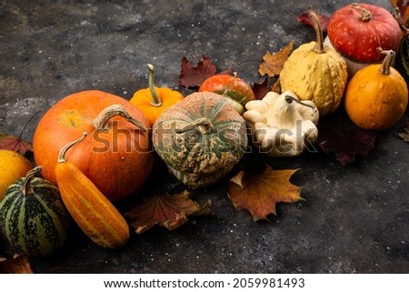 Various decorative pumpkins and dry leaves. Autumn harvest concept