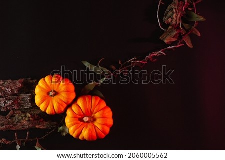 halloween pumpkins fresh orange and black 