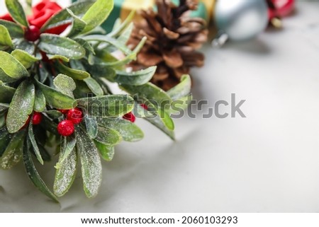 Mistletoe branch on white background