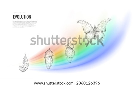 Metamorphosis of transformation or evolution. The birth of a butterfly from a caterpillar the cycle of life. Vector illustration 