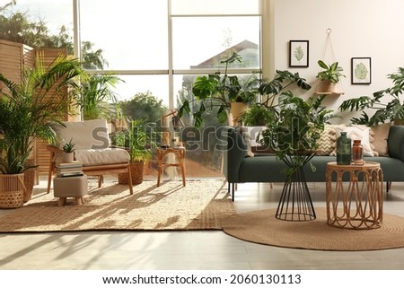 Stylish room interior with different houseplants and furniture near window Royalty-Free Stock Photo #2060130113