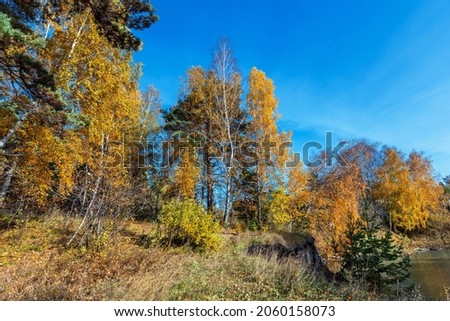 Autumn landscape. Novosibirsk region, Western Siberia