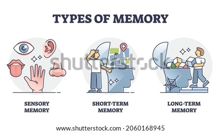 Types of memory - sensory, short-term and long-term, vector outline diagram. Sensory information transferred and stored as memories. Cognitive science research and studying the human mind and brain. Royalty-Free Stock Photo #2060168945