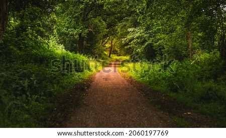 The Nederlands Limburg Landscape Nature Green Forest Woods Trail Path Hiking Summer Royalty-Free Stock Photo #2060197769