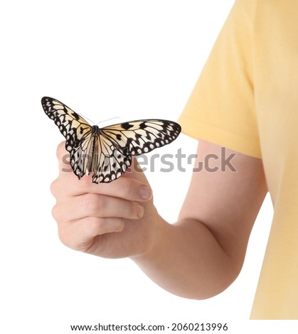 Woman holding beautiful rice paper butterfly on white background, closeup