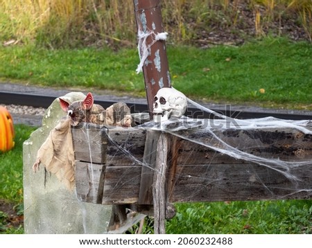 Human skeleton mockup. Halloween concept.
