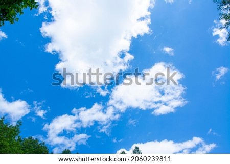 Blue sky with clouds. Forest 