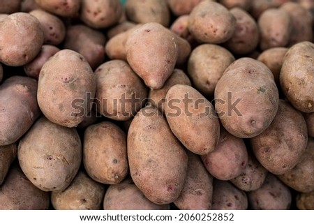 Beautiful picture of fresh potatos