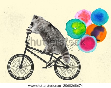 Raccoon riding a bike. Going to holiday, birthday party. Contemporary art collage, modern creative design. Idea, inspiration, event, mood, vibe, trend magazine style. Pets in modern human world, Happy