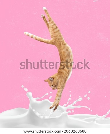 Ginger cat dives into milk. Contemporary art collage, modern creative design. Idea, inspiration, pets love, comparison. Poster, minimalism. Pets in modern human world, magazine style. Milk cocktail