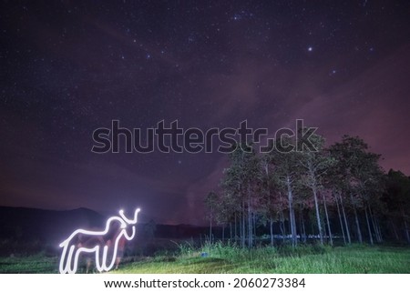  long exposure photos. Drawing deer shapes and The stars at night  and some trees. In the mountains 