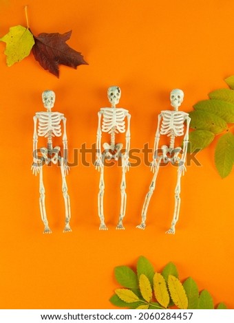Skeletons on an orange background. Halloween composition, top view. Happy halloween holiday concept.
