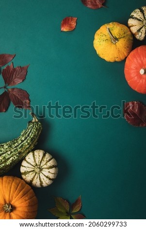Autumn background with pumpkin collection, greeting card background, or template with copy space