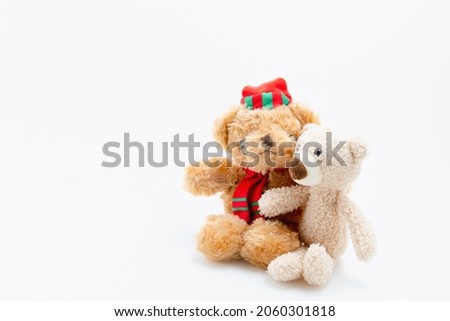 Teddy bear brothers and sisters hugging each other isolated on white background with copy space. Love, families, valentine concept.
