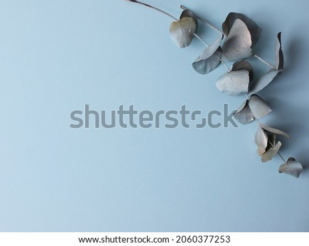 abstract blue weddind background with twig painted blue , pastel colors, trending colors.Top view, flatlay, lie concept view of holliday background.